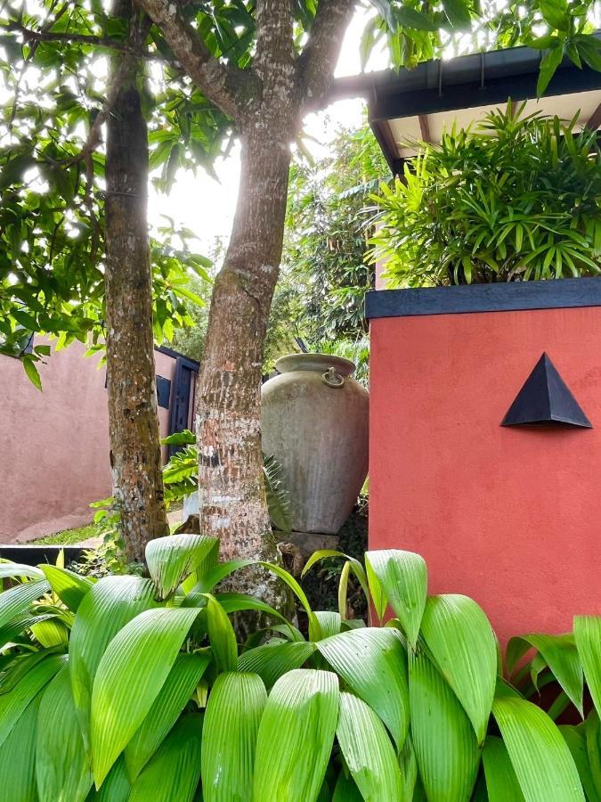 Nisala Villas Хиккадува Экстерьер фото
